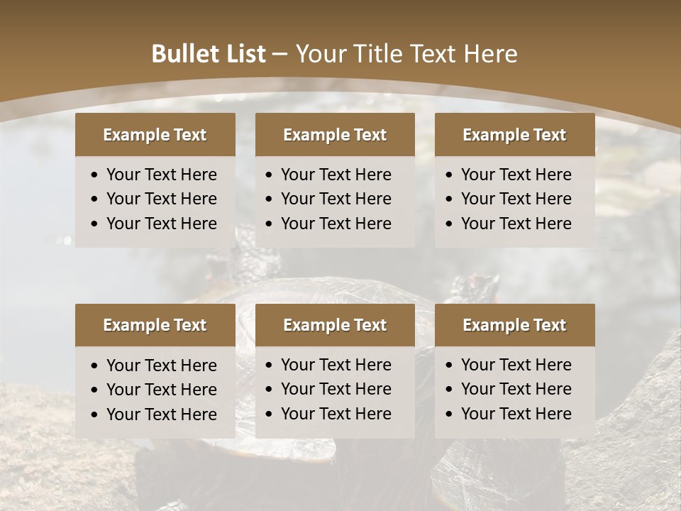Sunbathing Turtle PowerPoint Template