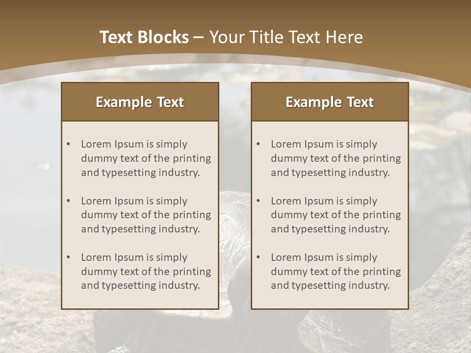 Sunbathing Turtle PowerPoint Template