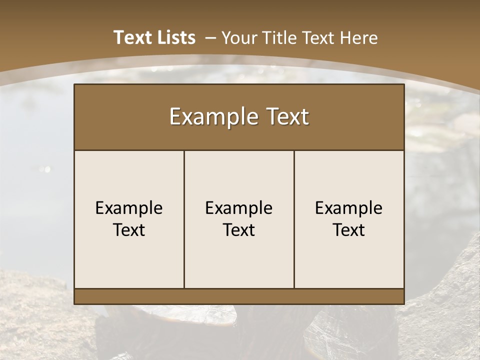 Sunbathing Turtle PowerPoint Template
