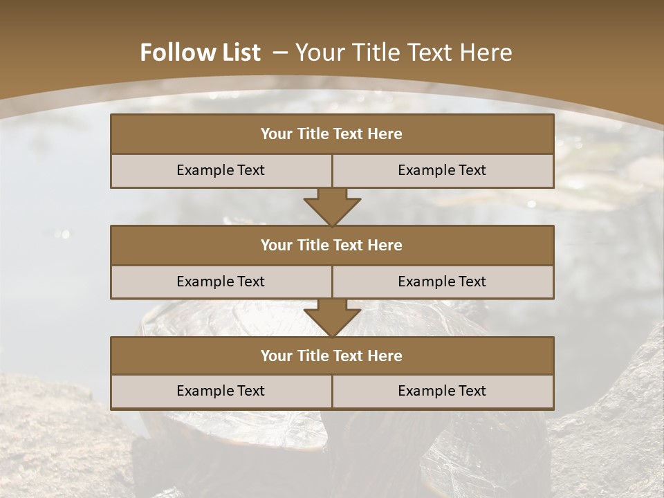 Sunbathing Turtle PowerPoint Template