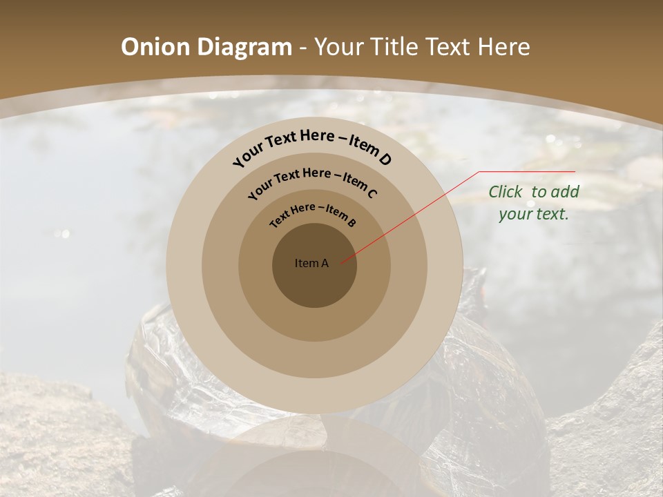 Sunbathing Turtle PowerPoint Template