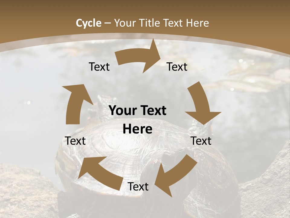 Sunbathing Turtle PowerPoint Template