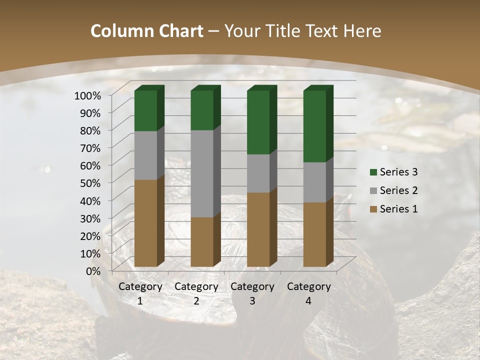 Sunbathing Turtle PowerPoint Template