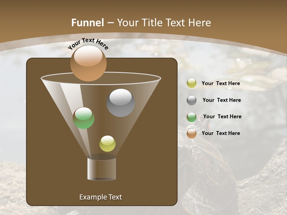 Sunbathing Turtle PowerPoint Template