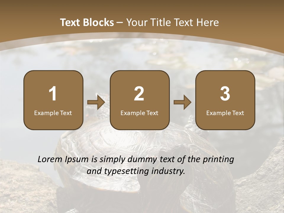 Sunbathing Turtle PowerPoint Template