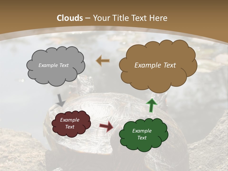 Sunbathing Turtle PowerPoint Template