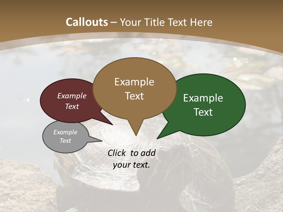 Sunbathing Turtle PowerPoint Template