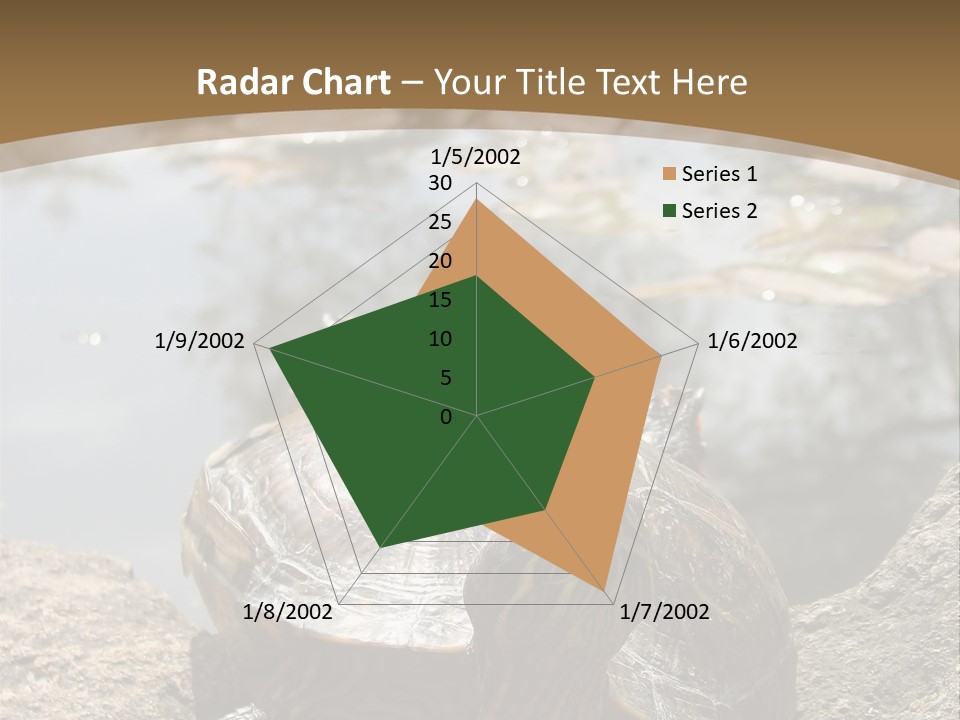 Sunbathing Turtle PowerPoint Template