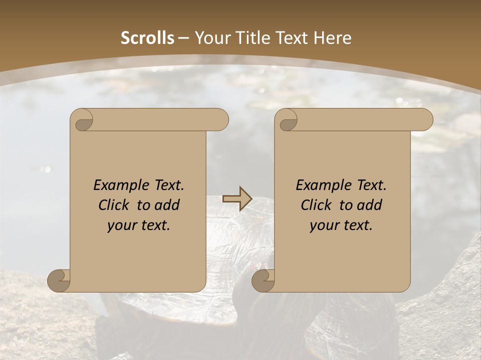 Sunbathing Turtle PowerPoint Template
