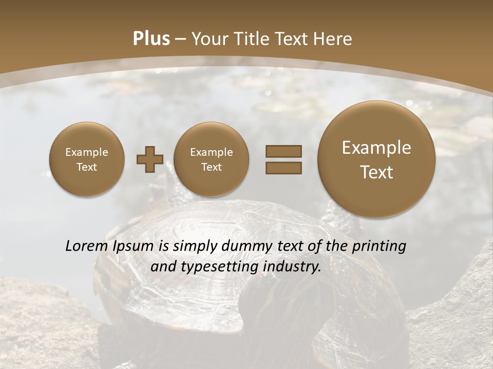 Sunbathing Turtle PowerPoint Template