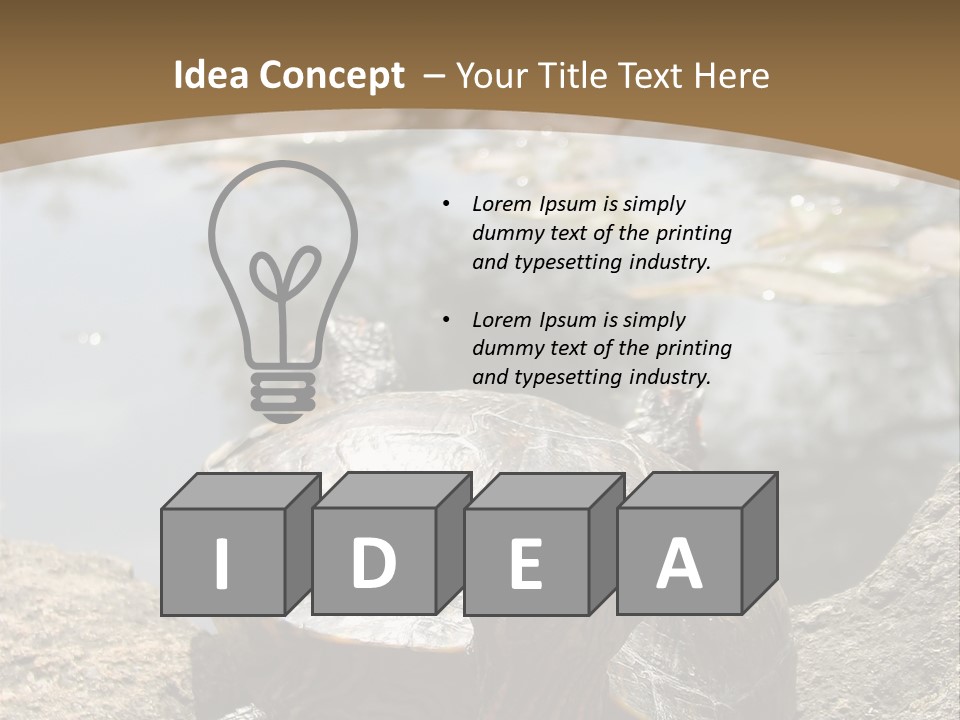 Sunbathing Turtle PowerPoint Template