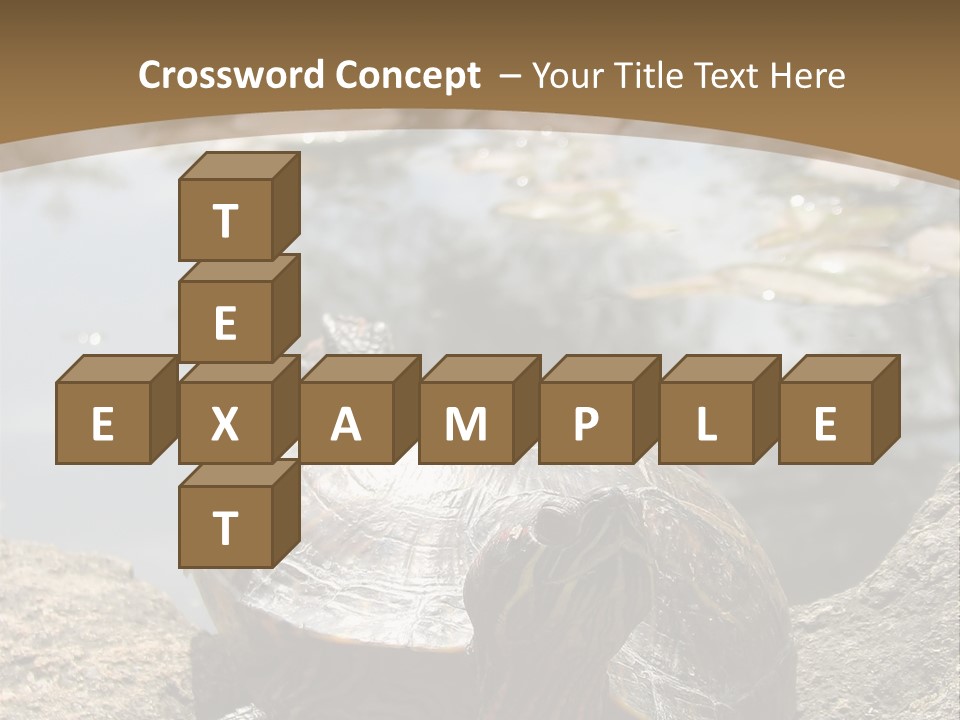 Sunbathing Turtle PowerPoint Template