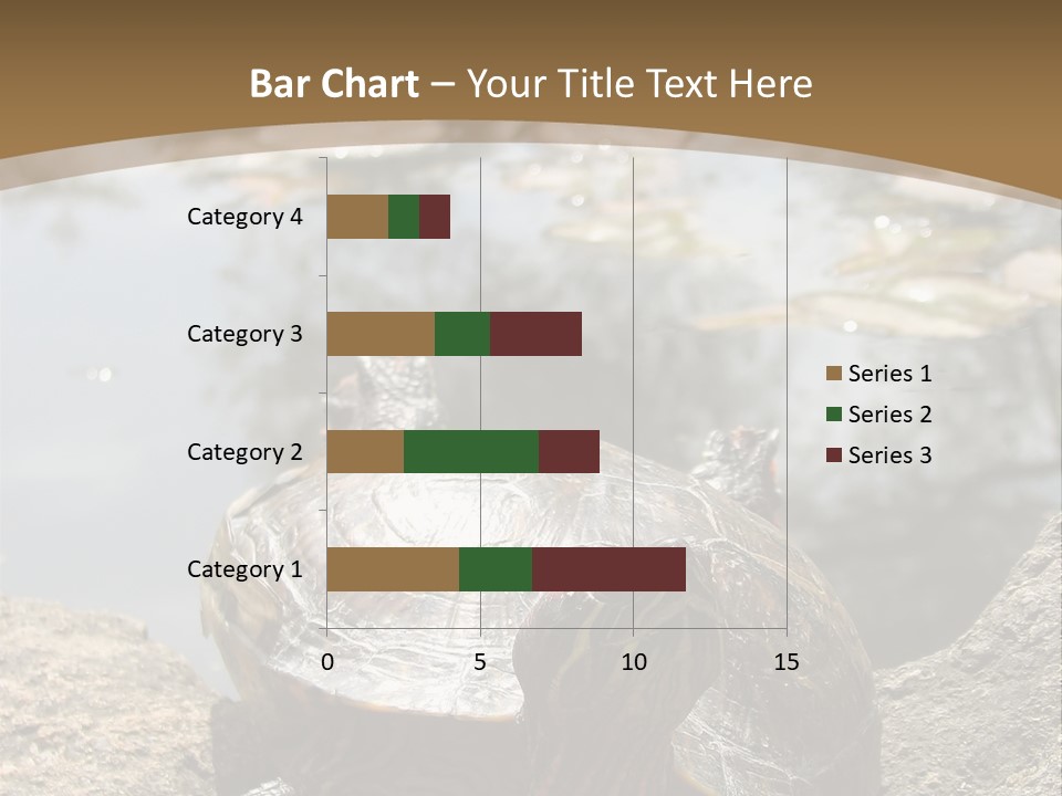 Sunbathing Turtle PowerPoint Template