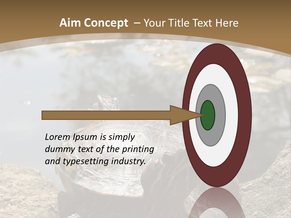 Sunbathing Turtle PowerPoint Template