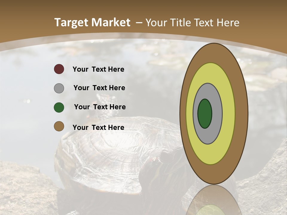 Sunbathing Turtle PowerPoint Template