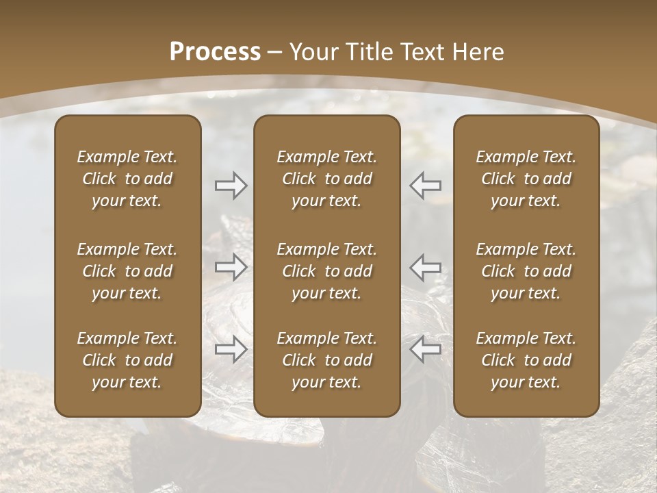 Sunbathing Turtle PowerPoint Template