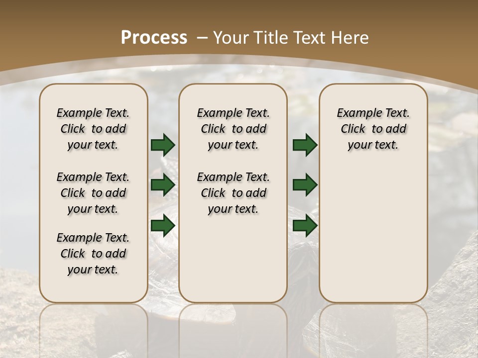 Sunbathing Turtle PowerPoint Template