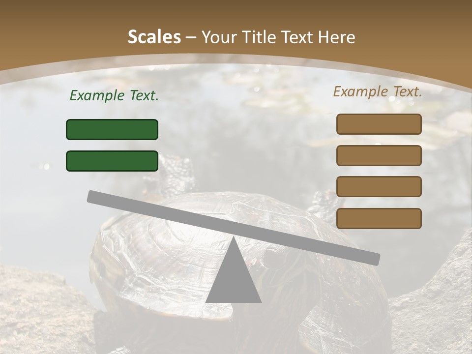 Sunbathing Turtle PowerPoint Template