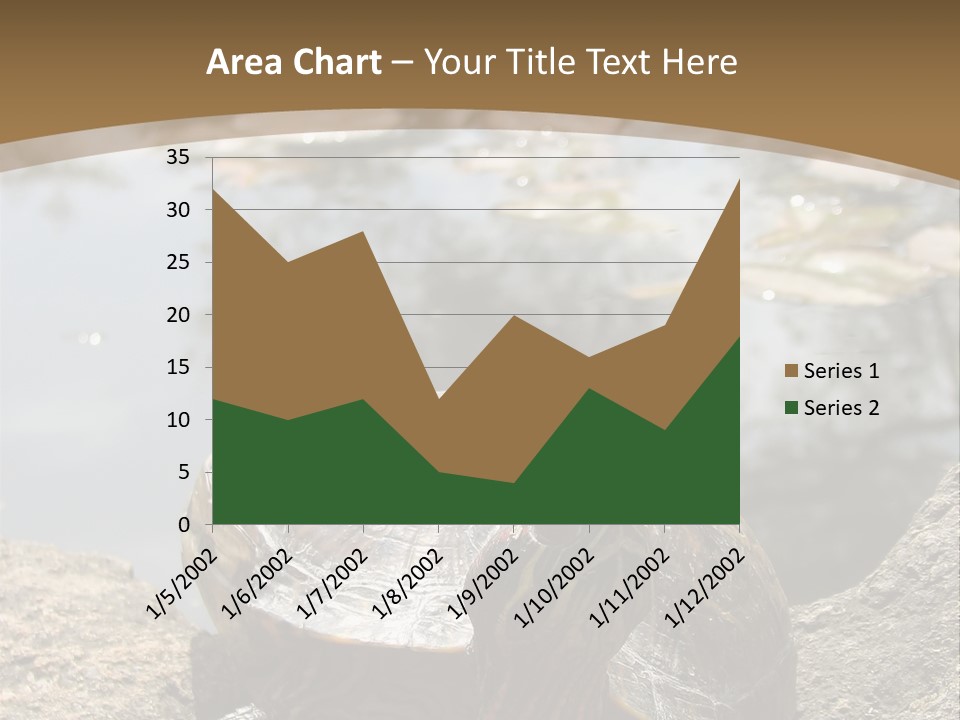 Sunbathing Turtle PowerPoint Template