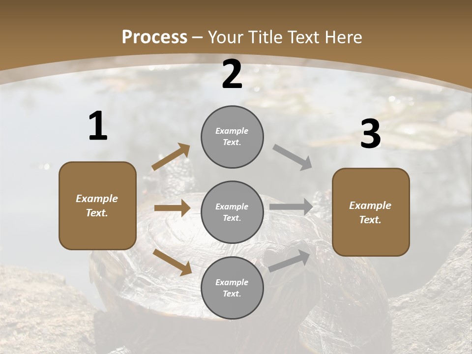 Sunbathing Turtle PowerPoint Template