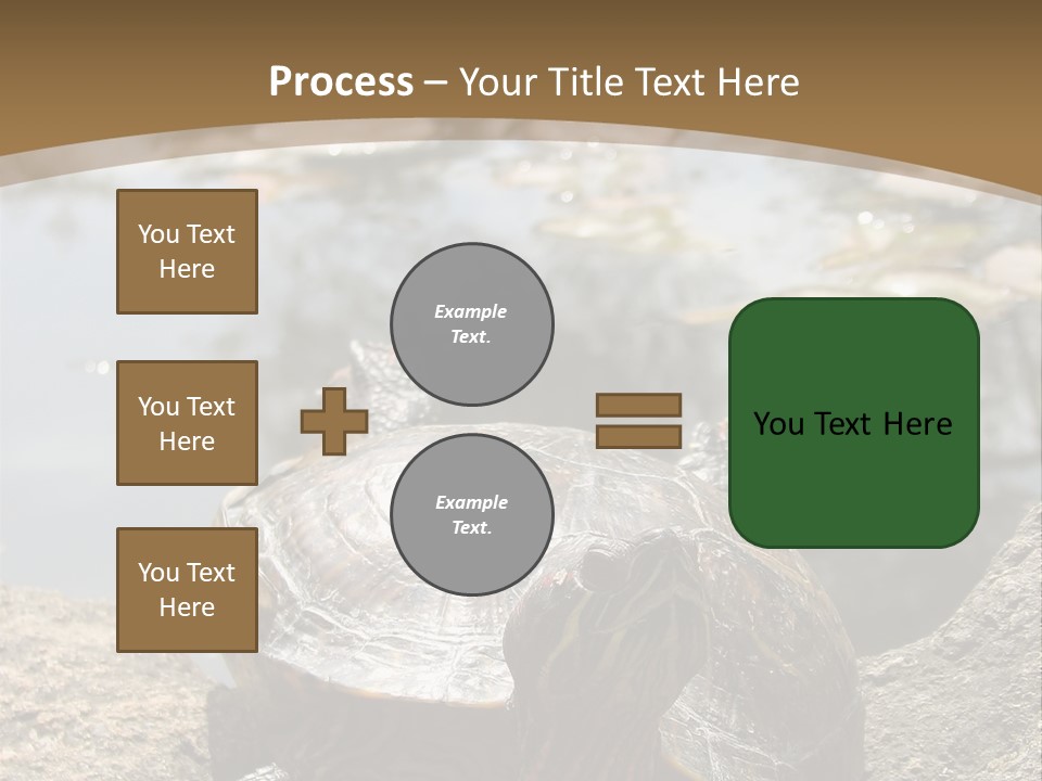 Sunbathing Turtle PowerPoint Template