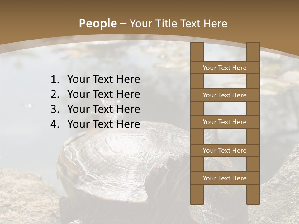 Sunbathing Turtle PowerPoint Template
