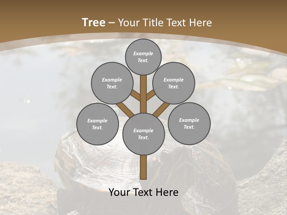 Sunbathing Turtle PowerPoint Template