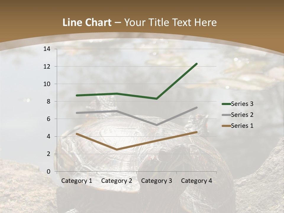 Sunbathing Turtle PowerPoint Template