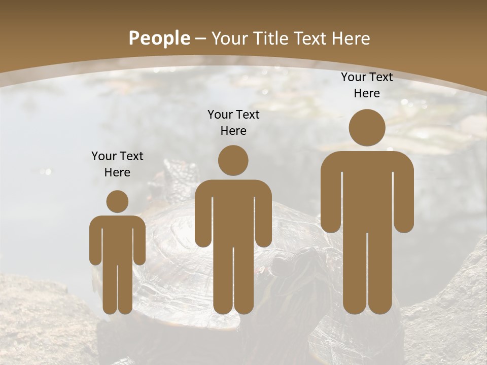 Sunbathing Turtle PowerPoint Template