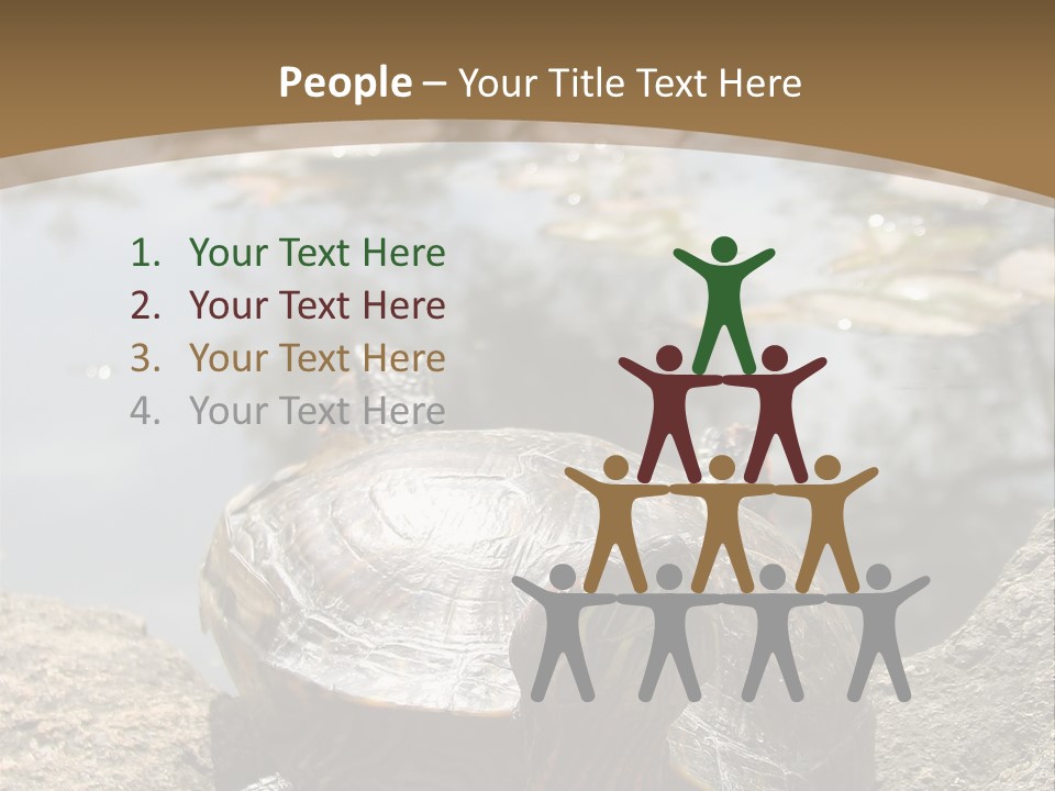 Sunbathing Turtle PowerPoint Template