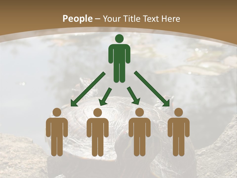 Sunbathing Turtle PowerPoint Template