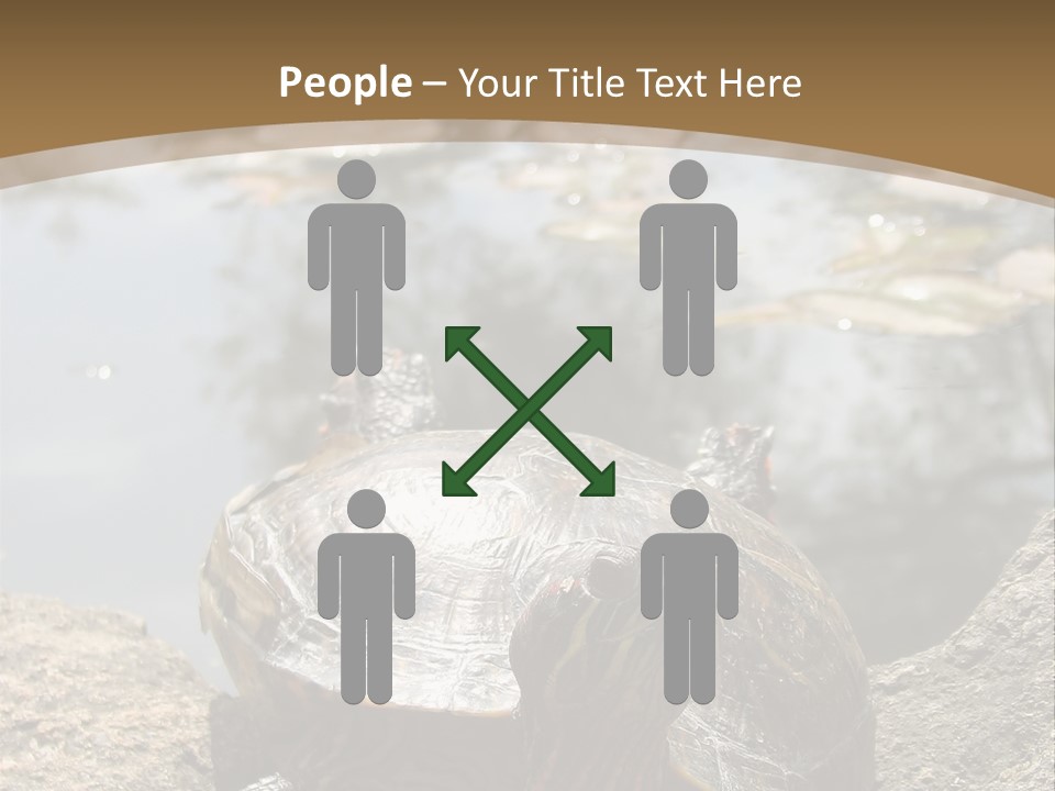 Sunbathing Turtle PowerPoint Template