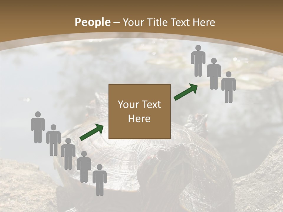 Sunbathing Turtle PowerPoint Template