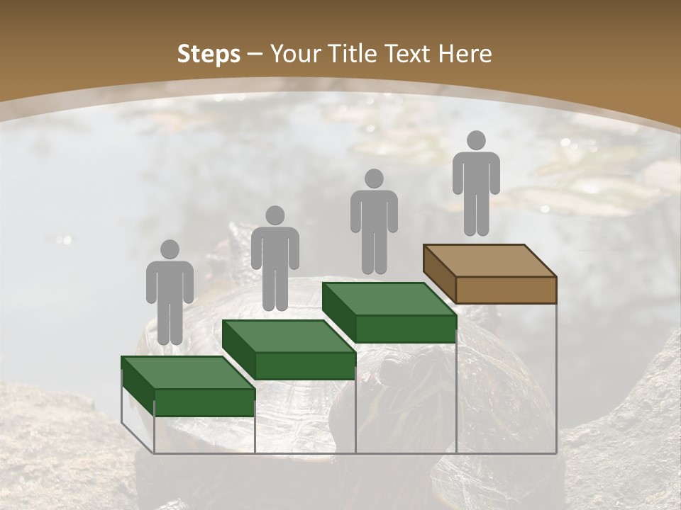 Sunbathing Turtle PowerPoint Template