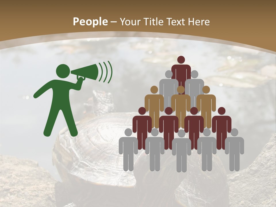 Sunbathing Turtle PowerPoint Template