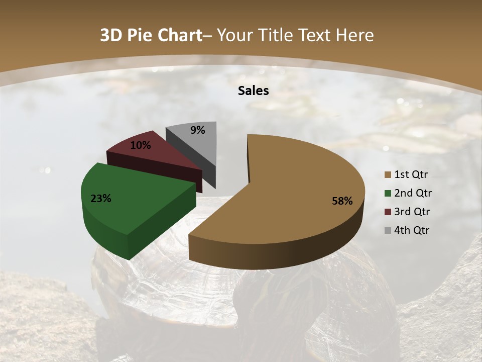 Sunbathing Turtle PowerPoint Template