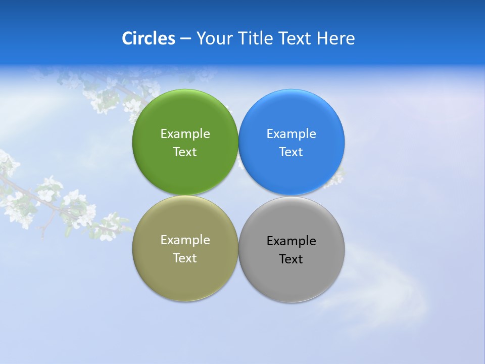 African American Business Woman PowerPoint Template