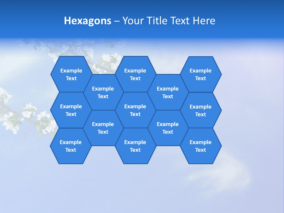 African American Business Woman PowerPoint Template