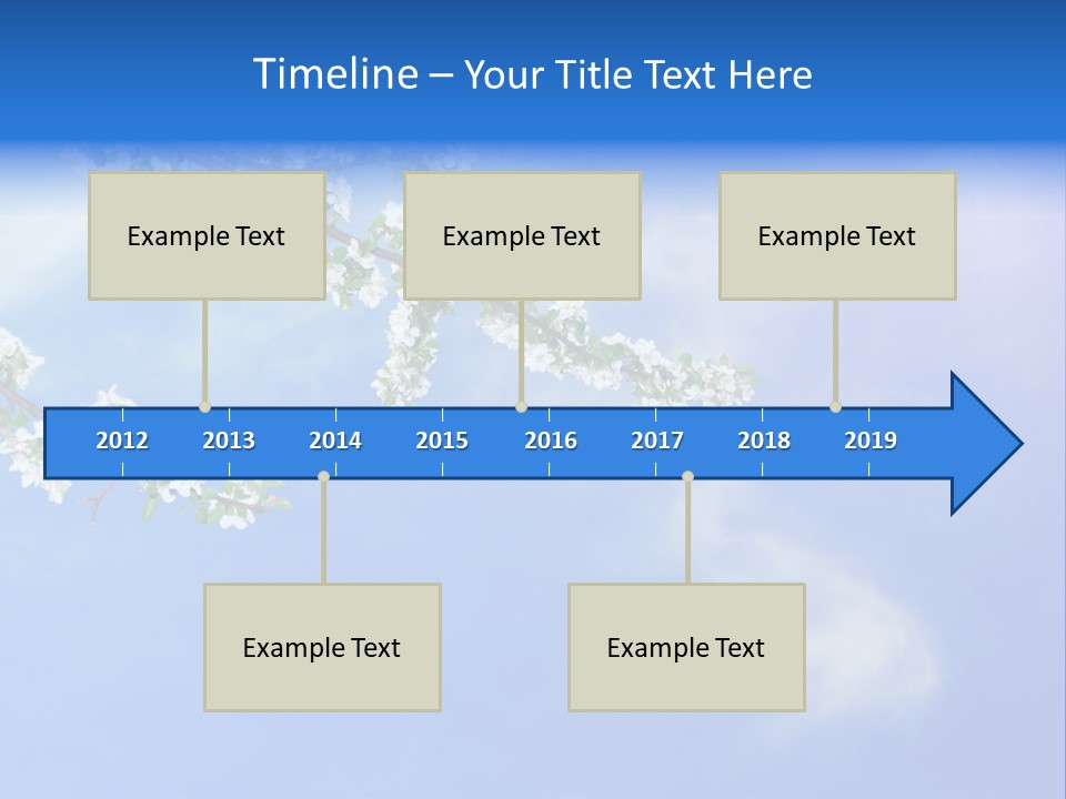African American Business Woman PowerPoint Template