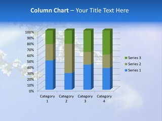 African American Business Woman PowerPoint Template