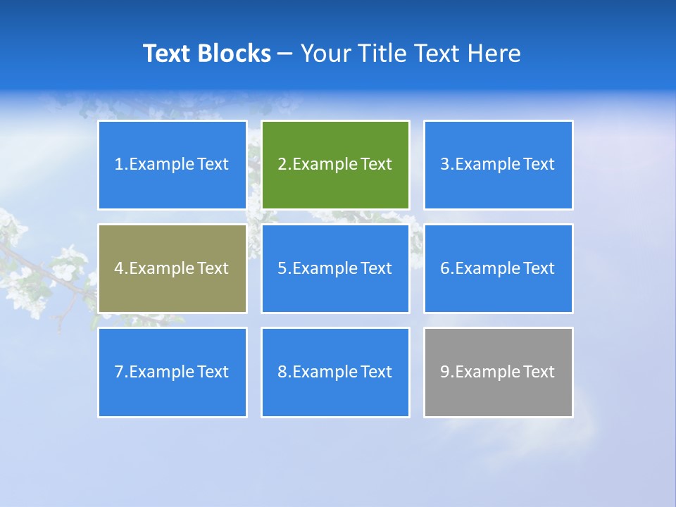 African American Business Woman PowerPoint Template