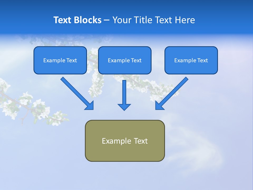 African American Business Woman PowerPoint Template