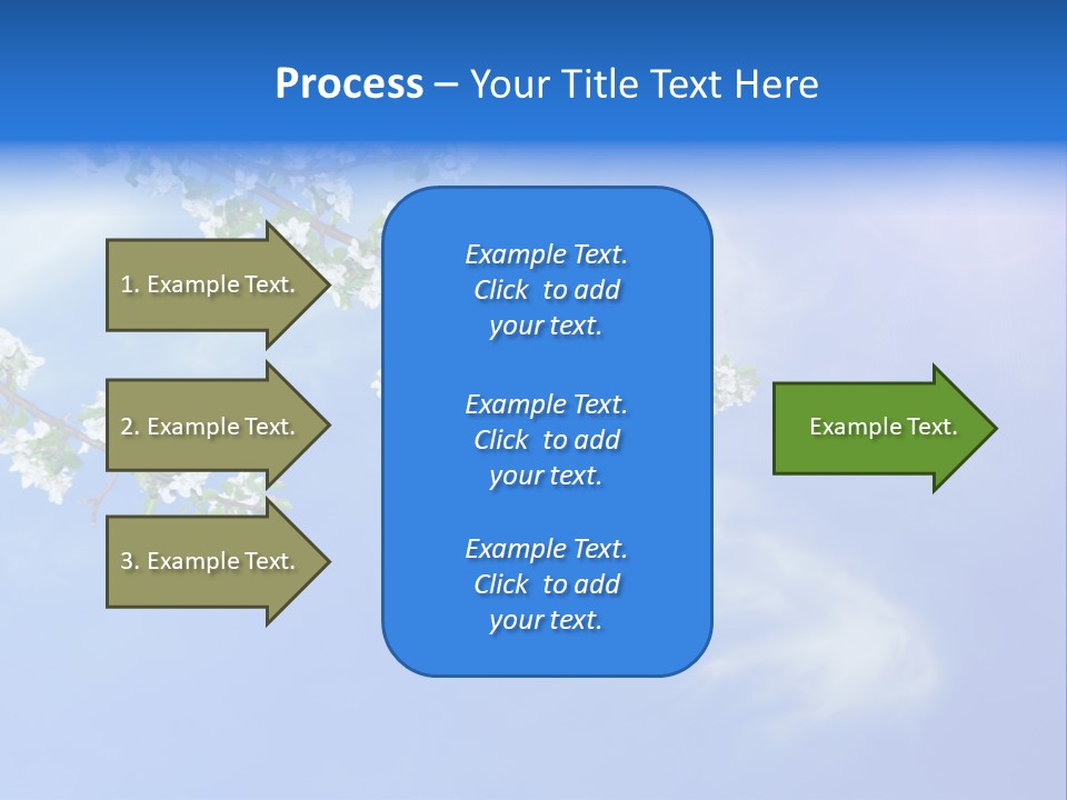 African American Business Woman PowerPoint Template