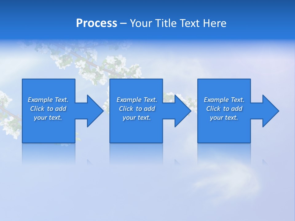 African American Business Woman PowerPoint Template