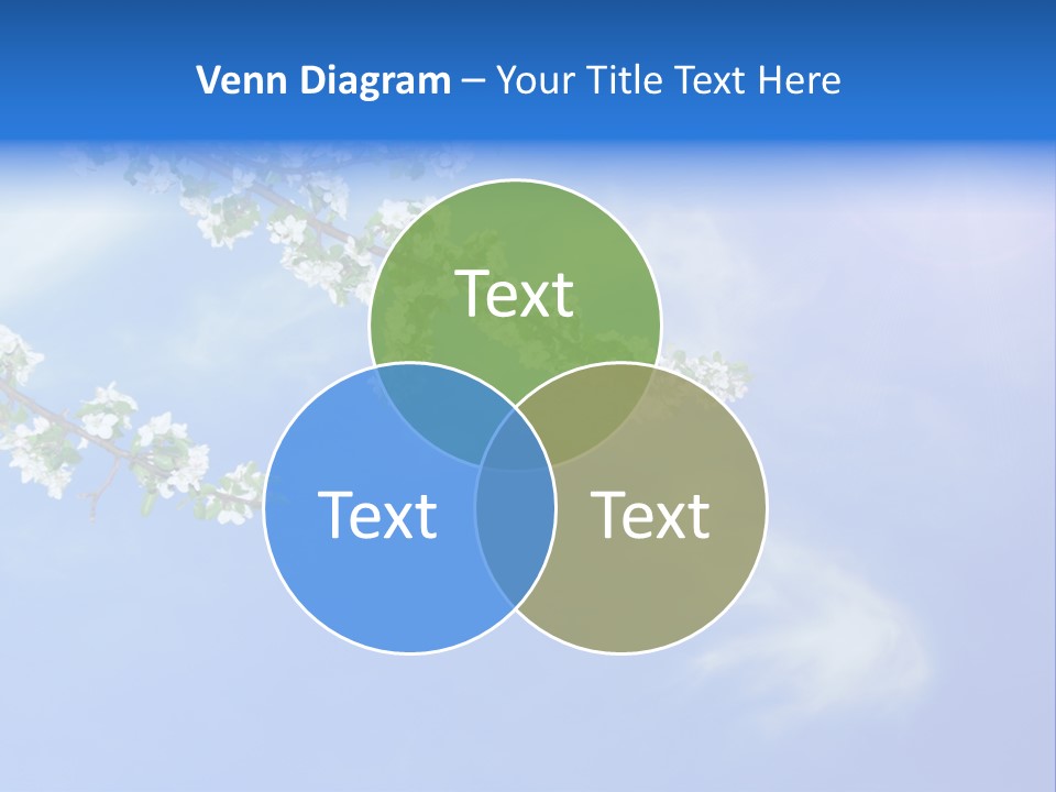 African American Business Woman PowerPoint Template