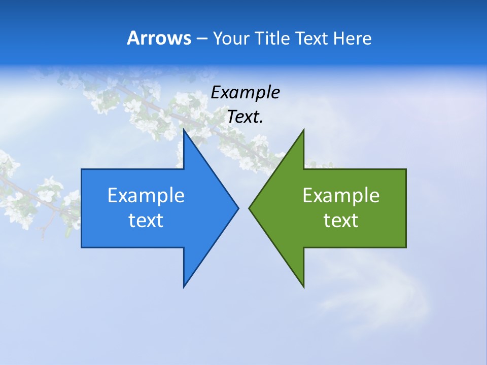 African American Business Woman PowerPoint Template