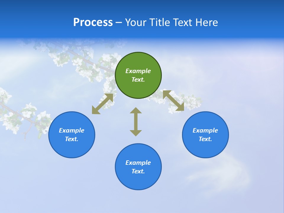 African American Business Woman PowerPoint Template
