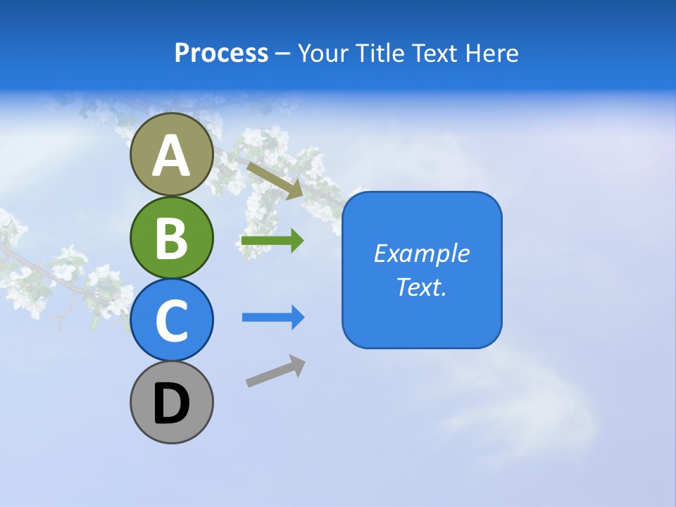 African American Business Woman PowerPoint Template