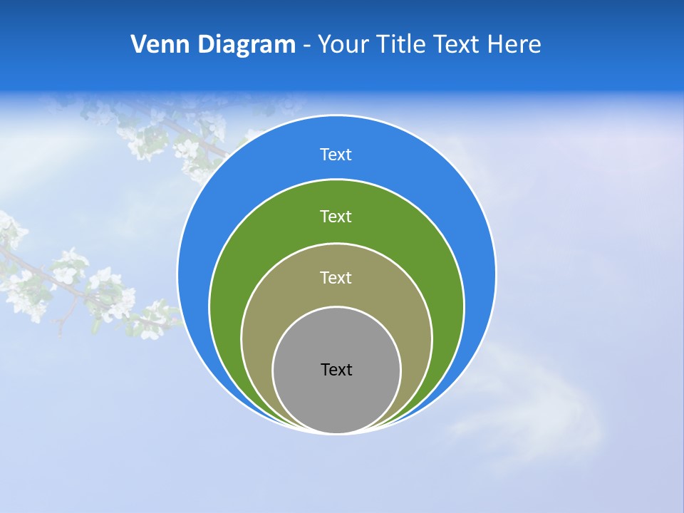African American Business Woman PowerPoint Template