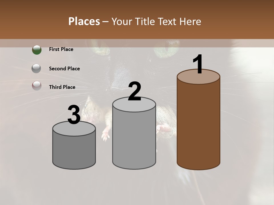 A Black Cat With A Mouse In It's Mouth PowerPoint Template